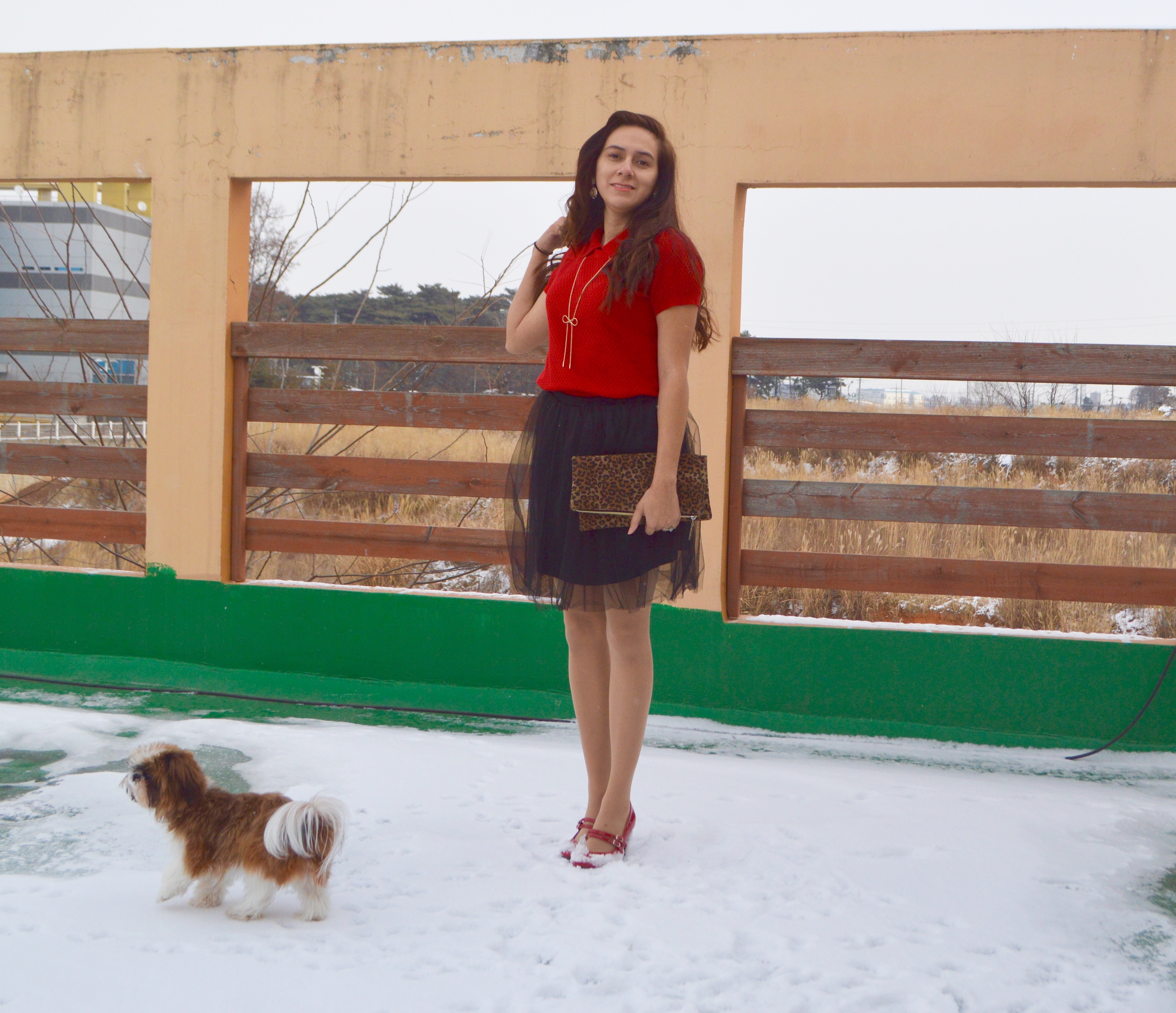 Tulle Skirts for Valentines Day + How to Blog About Fashion!