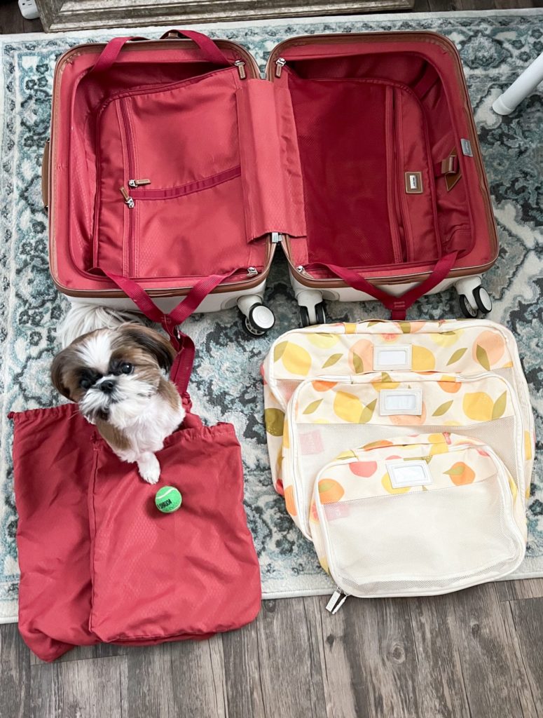 How to Plan Travel Outfits packing cubes and Kelsey Luggage